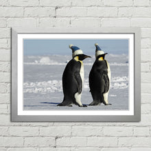 Load image into Gallery viewer, Antarctic Penguins with Santa Hats Christmas