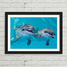 Load image into Gallery viewer, Smiling Dolphins Close Up