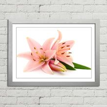 Load image into Gallery viewer, Pink Lillies Flowers