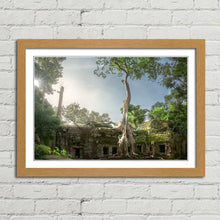 Load image into Gallery viewer, Ta Prohm Banyan Tree Angkor Wat