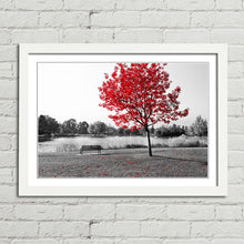 Load image into Gallery viewer, Red Tree Park Bench Lake Nature