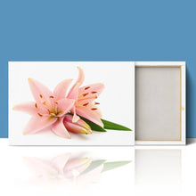 Load image into Gallery viewer, Pink Lillies Flowers