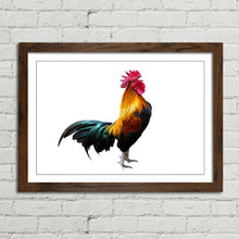Load image into Gallery viewer, Rooster Cock Cockerel