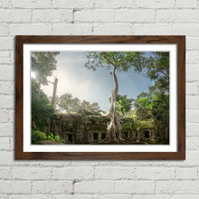 Load image into Gallery viewer, Ta Prohm Banyan Tree Angkor Wat