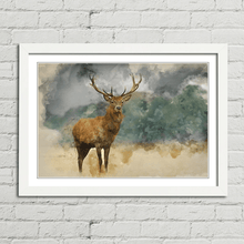 Load image into Gallery viewer, Red Deer Stag Watercolour Painting
