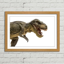 Load image into Gallery viewer, Tyrannosaurus T Rex Dinosaur
