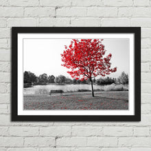 Load image into Gallery viewer, Red Tree Park Bench Lake Nature