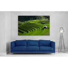 Load image into Gallery viewer, Rice Field Terrace Vietnam