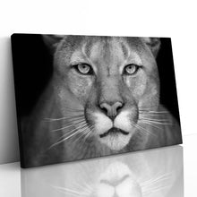 Load image into Gallery viewer, Puma Wild Cat