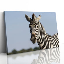 Load image into Gallery viewer, Zebra Safari in Africa