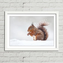 Load image into Gallery viewer, Red Squirrel in Snow England Winter
