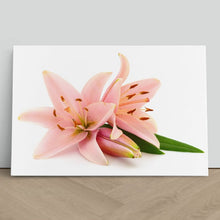 Load image into Gallery viewer, Pink Lillies Flowers