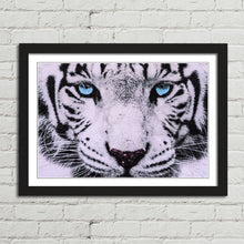 Load image into Gallery viewer, Blue Eyed White Tiger