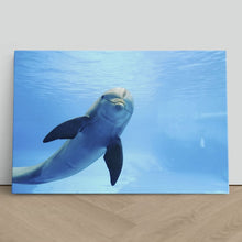 Load image into Gallery viewer, Cute Dolphin Staring