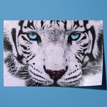 Load image into Gallery viewer, Blue Eyed White Tiger