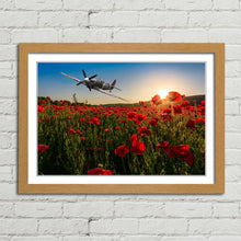Load image into Gallery viewer, Spitfire over Poppy Field Sunset Remembrance