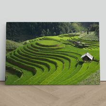 Load image into Gallery viewer, Rice Field Terrace Vietnam
