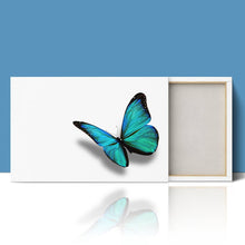 Load image into Gallery viewer, Turquoise Butterfly Nature