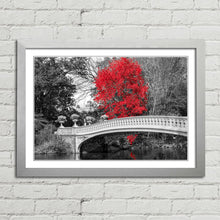Load image into Gallery viewer, Red Tree Central Park Bridge New York