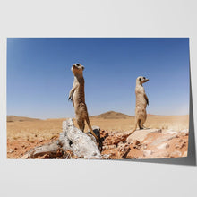 Load image into Gallery viewer, Cute Meerkats on Lookout