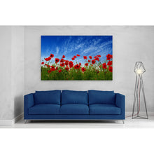 Load image into Gallery viewer, Red Poppies in Field