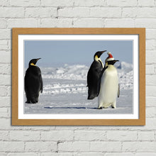 Load image into Gallery viewer, Penguins at Christmas Arctic Santa Hat