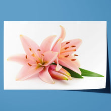 Load image into Gallery viewer, Pink Lillies Flowers