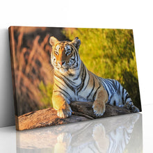 Load image into Gallery viewer, Tiger Big Cat Sitting