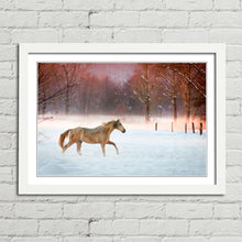 Load image into Gallery viewer, Horse Running in Snow