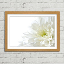 Load image into Gallery viewer, White Flower