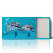 Load image into Gallery viewer, Smiling Dolphins Close Up