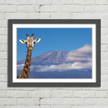 Load image into Gallery viewer, Giraffe near Mount Kilimanjaro
