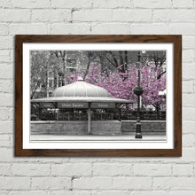 Load image into Gallery viewer, Pink Blossom Tree New York Subway