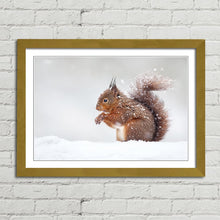 Load image into Gallery viewer, Red Squirrel in Snow England Winter