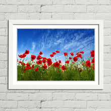 Load image into Gallery viewer, Red Poppies in Field