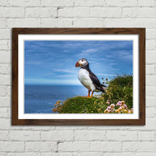 Load image into Gallery viewer, Puffin on Latrabjarg Cliffs