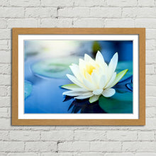 Load image into Gallery viewer, White Lotus Flower in Pond