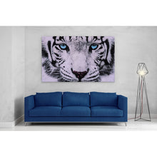 Load image into Gallery viewer, Blue Eyed White Tiger