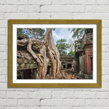 Load image into Gallery viewer, Ta Prohm Temple Tree Angkor