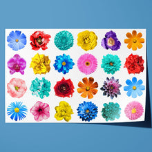 Load image into Gallery viewer, Flowers of various Colours