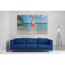 Load image into Gallery viewer, Pink Flamingo in Aruba