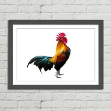 Load image into Gallery viewer, Rooster Cock Cockerel