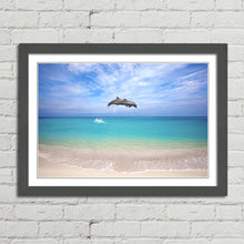 Load image into Gallery viewer, Dolphins Jumping Thailand