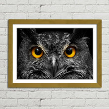 Load image into Gallery viewer, Cute Owl Staring