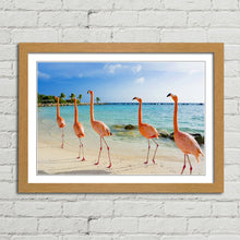 Load image into Gallery viewer, Flamingoes on Aruba Beach