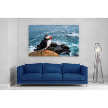 Load image into Gallery viewer, Atlantic Puffin on Cliff