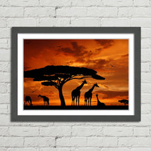 Load image into Gallery viewer, Giraffe Herd at Sunset