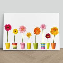 Load image into Gallery viewer, Flower Pots and Daisy Colours