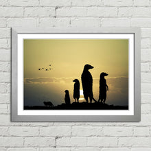 Load image into Gallery viewer, Meerkats at Sunset