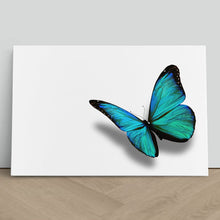 Load image into Gallery viewer, Turquoise Butterfly Nature